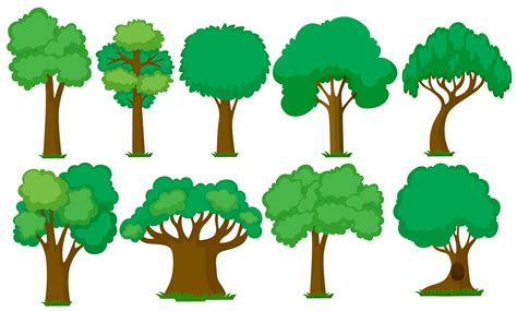 trees vector art|More.